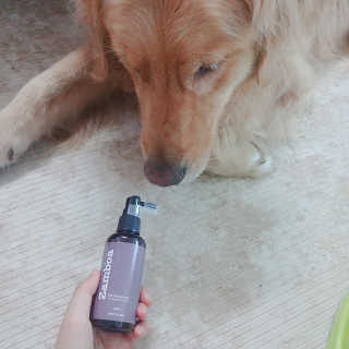 아보카도올리브님이 올린 리뷰 사진 1