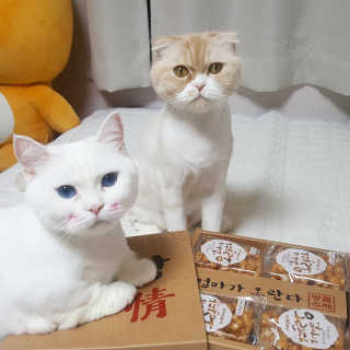 백현지님이 올린 리뷰 사진 2