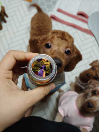 무지개둥이네님이 올린 리뷰 사진 3