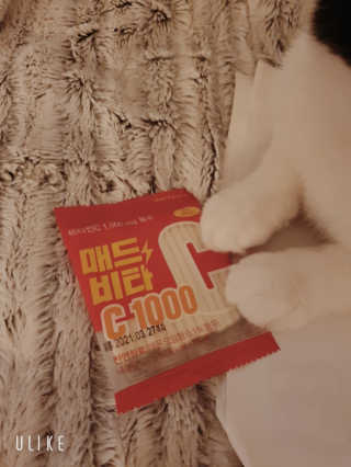 매드비타C 1000 — 4점을 준 리뷰어가 2019년 4월 올린 사용 사진