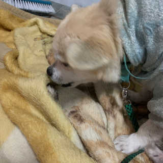 정다녕님이 올린 리뷰 사진 4