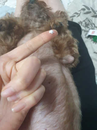 뽀기님이 올린 리뷰 사진 2