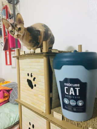 이아님이 올린 리뷰 사진 1
