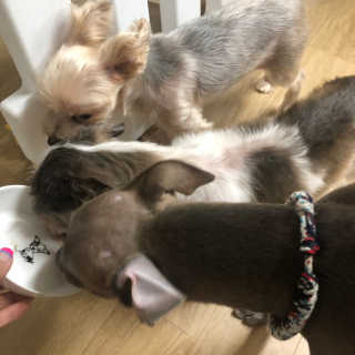 정봐기린님이 올린 리뷰 사진 3