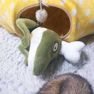 시나마나애영님이 올린 리뷰 사진 3
