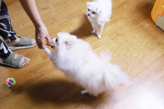 라미씨님이 올린 리뷰 사진 2