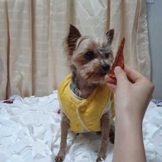 솜희님이 올린 리뷰 사진 2
