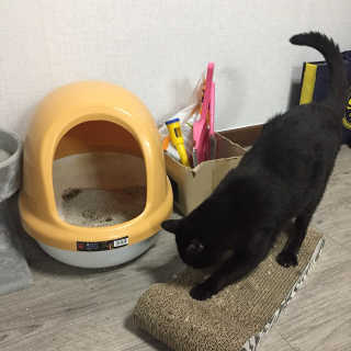 최유리님이 올린 리뷰 사진 3