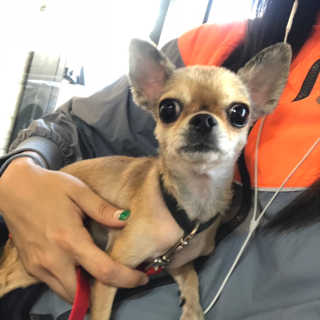 하씨님이 올린 리뷰 사진 2