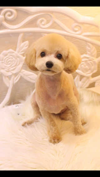 모모님이 올린 리뷰 사진 1