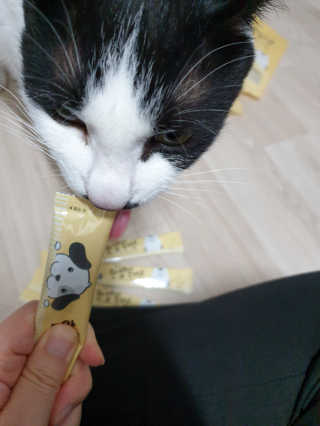 [펫토리아]짜먹는 한입뚝딱 강아지.고양이 마약간식 — 5점을 준 리뷰어가 2019년 7월 올린 사용 사진