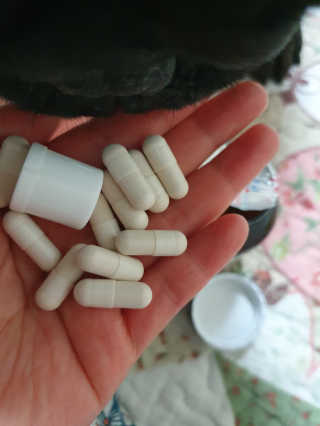 탱크돌콩님이 올린 리뷰 사진 2