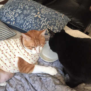 최유리님이 올린 리뷰 사진 4