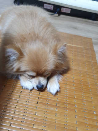 tmvksl5님이 올린 리뷰 사진 1