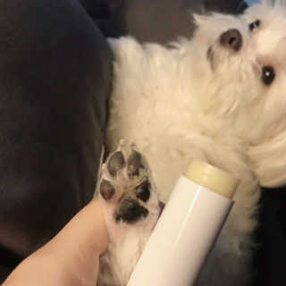쌔쌔님이 올린 리뷰 사진 3