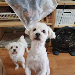 곽현정님이 올린 리뷰 사진 4