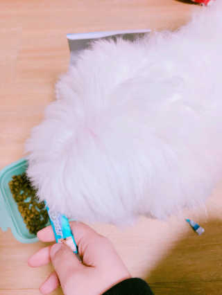 Roa님이 올린 리뷰 사진 2