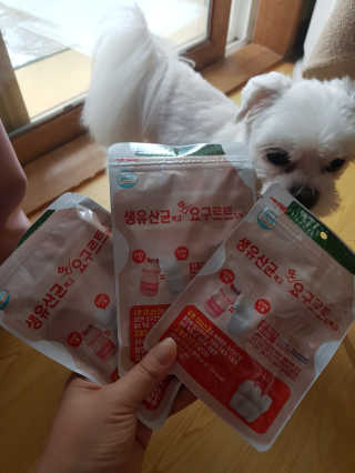 뽀오오옹님이 올린 리뷰 사진 2