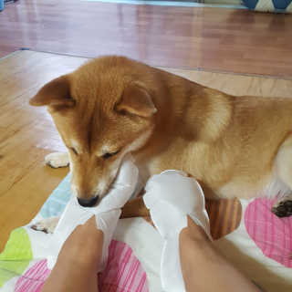 컴백08리터님이 올린 리뷰 사진 4