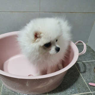 ssosso_yab님이 올린 리뷰 사진 2
