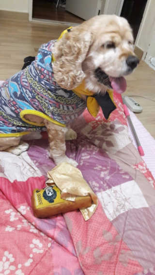 김루비님이 올린 리뷰 사진 1