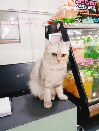 youngran님이 올린 리뷰 사진 4