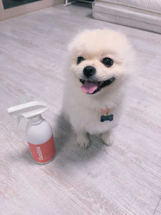 유탱블님이 올린 리뷰 사진 1