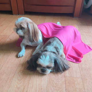 베베츄님이 올린 리뷰 사진 2