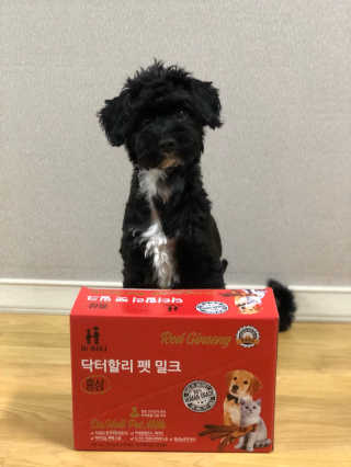 닥터할리펫밀크 8종 — 5점을 준 리뷰어가 2020년 2월 올린 사용 사진