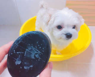 리니님이 올린 리뷰 사진 3