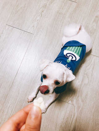 펫츠플레이트 동결건조간식 기호성 테스트 8종 — 5점을 준 리뷰어가 2018년 5월 올린 사용 사진