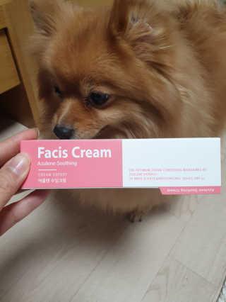 샤샤진진님이 올린 리뷰 사진 1