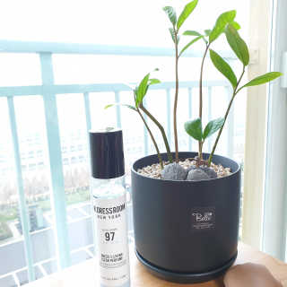 더블유드레스룸 드레스퍼퓸 150ml — 4.67점을 준 리뷰어가 2018년 10월 올린 사용 사진