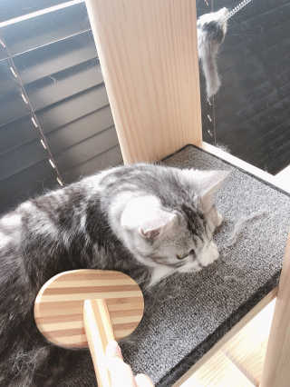 0123eunhye님이 올린 리뷰 사진 3