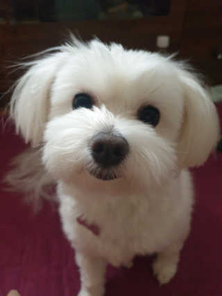 뉼뉼뉼님이 올린 리뷰 사진 2