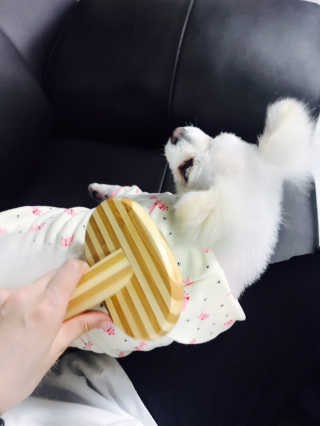 고은화님이 올린 리뷰 사진 2