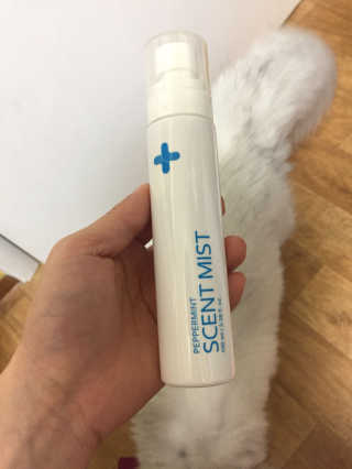 이진희님이 올린 리뷰 사진 1