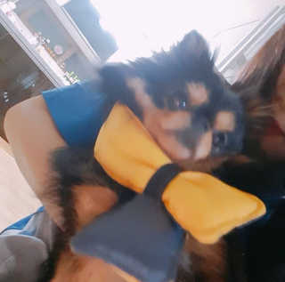 정준혁님이 올린 리뷰 사진 3