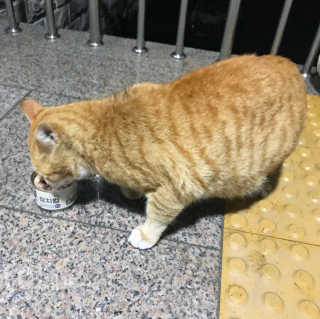 랑이맘님이 올린 리뷰 사진 1