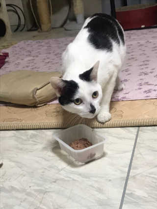김민선님이 올린 리뷰 사진 1