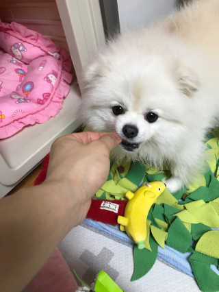 정재백님이 올린 리뷰 사진 3