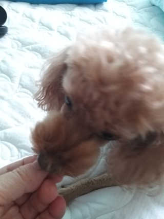 지여니님이 올린 리뷰 사진 3