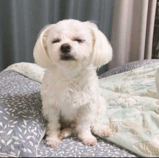 공순이에요님이 올린 리뷰 사진 2