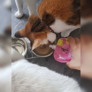 코코민네님이 올린 리뷰 사진 4