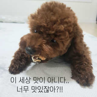 뽐님이 올린 리뷰 사진 3
