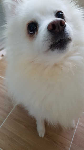 유니으니맘님이 올린 리뷰 사진 4