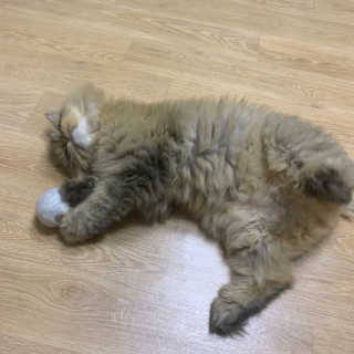 쏘e님이 올린 리뷰 사진 2