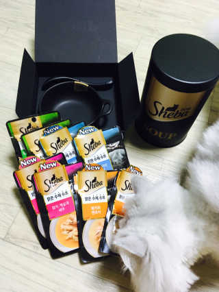 김가람님이 올린 리뷰 사진 2