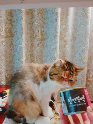엘카몬님이 올린 리뷰 사진 2