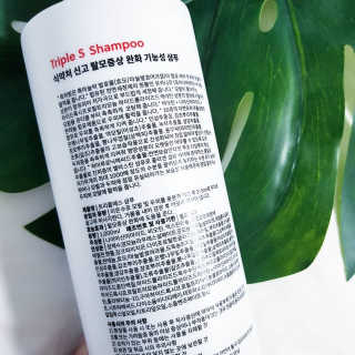 쏨님이 올린 리뷰 사진 2